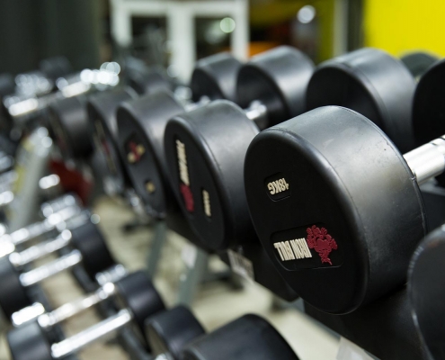 Fitness & Weights   Topfitness